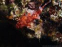 11_P5263304_Final