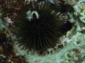PA050129