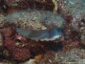 PA050225