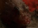 PA060375