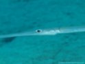 PA070558