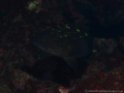 PA080679
